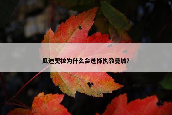 瓜迪奥拉为什么会选择执教曼城？