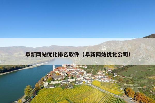 阜新网站优化排名软件（阜新网站优化公司）