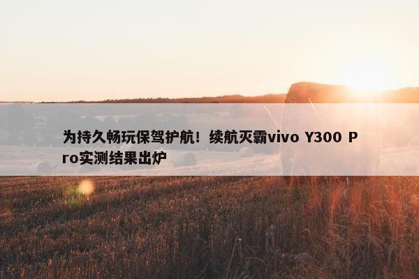 为持久畅玩保驾护航！续航灭霸vivo Y300 Pro实测结果出炉