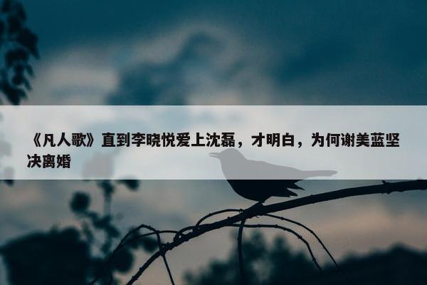 《凡人歌》直到李晓悦爱上沈磊，才明白，为何谢美蓝坚决离婚