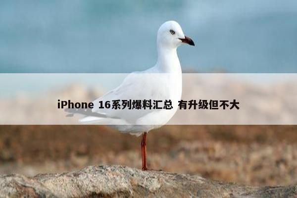 iPhone 16系列爆料汇总 有升级但不大