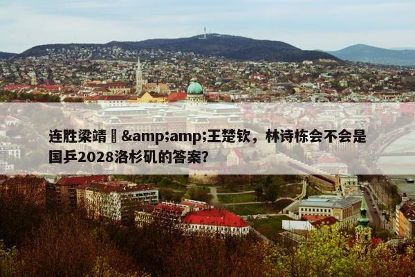 连胜梁靖崑&amp;王楚钦，林诗栋会不会是国乒2028洛杉矶的答案？