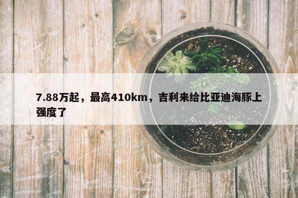 7.88万起，最高410km，吉利来给比亚迪海豚上强度了