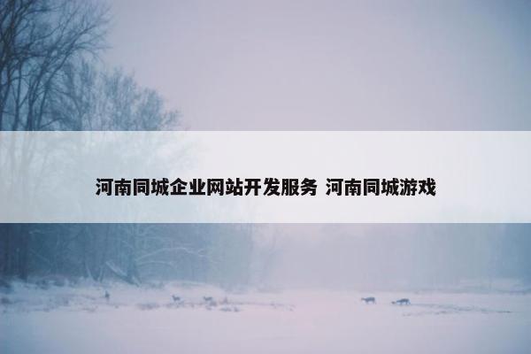 河南同城企业网站开发服务 河南同城游戏