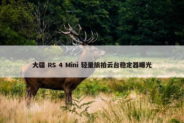 大疆 RS 4 Mini 轻量旅拍云台稳定器曝光