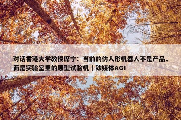 对话香港大学教授席宁：当前的仿人形机器人不是产品，而是实验室里的原型试验机｜钛媒体AGI