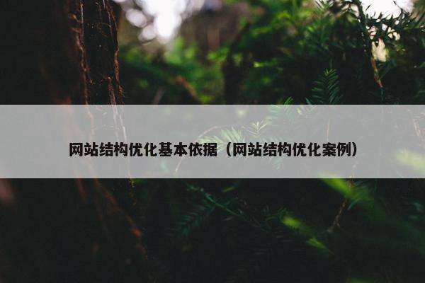 网站结构优化基本依据（网站结构优化案例）