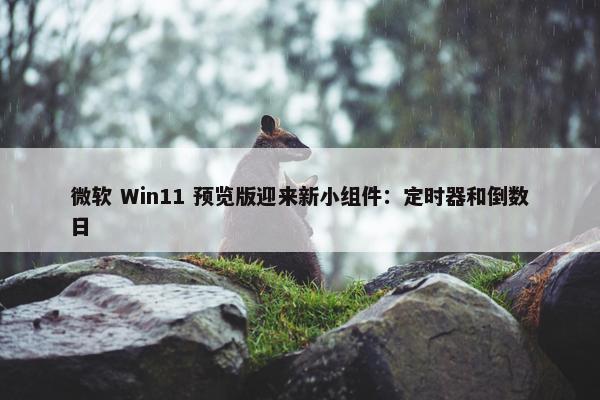 微软 Win11 预览版迎来新小组件：定时器和倒数日