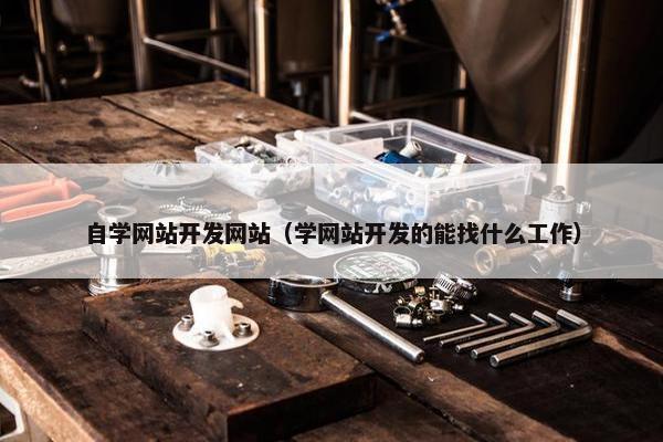 自学网站开发网站（学网站开发的能找什么工作）