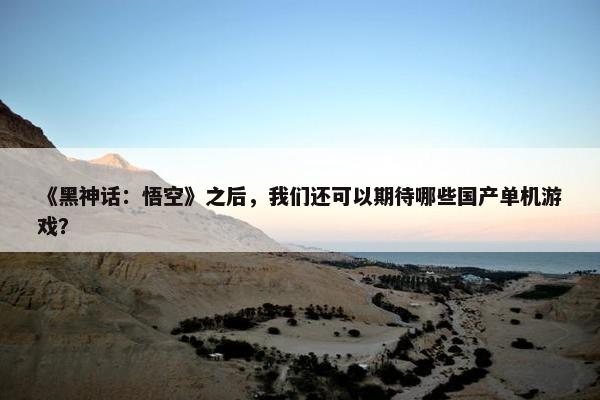 《黑神话：悟空》之后，我们还可以期待哪些国产单机游戏？