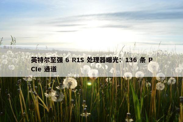 英特尔至强 6 R1S 处理器曝光：136 条 PCIe 通道