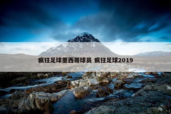 疯狂足球墨西哥球员 疯狂足球2019