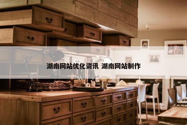 湖南网站优化资讯 湖南网站制作