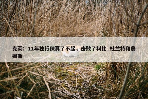 克莱：11年独行侠真了不起，击败了科比_杜兰特和詹姆斯