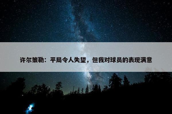 许尔策勒：平局令人失望，但我对球员的表现满意