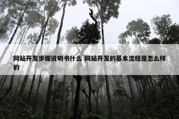 网站开发步骤说明书什么 网站开发的基本流程是怎么样的