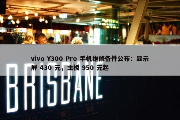 vivo Y300 Pro 手机维修备件公布：显示屏 430 元，主板 950 元起