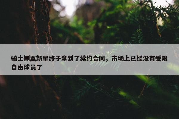 骑士侧翼新星终于拿到了续约合同，市场上已经没有受限自由球员了