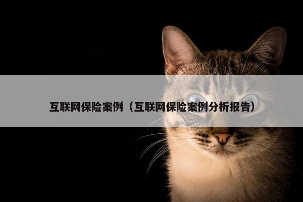 互联网保险案例（互联网保险案例分析报告）