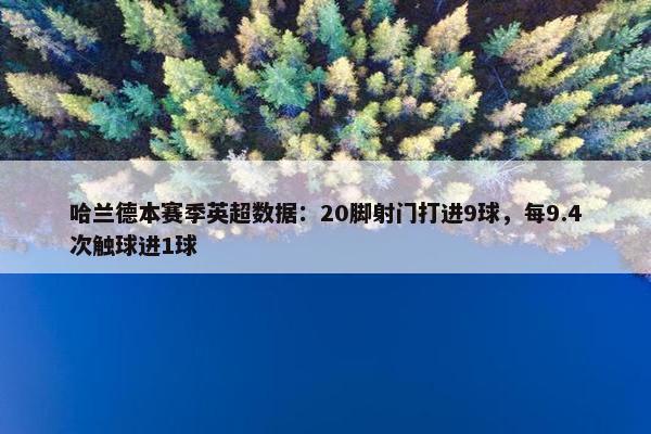 哈兰德本赛季英超数据：20脚射门打进9球，每9.4次触球进1球