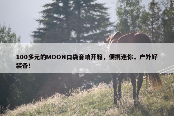 100多元的MOON口袋音响开箱，便携迷你，户外好装备！