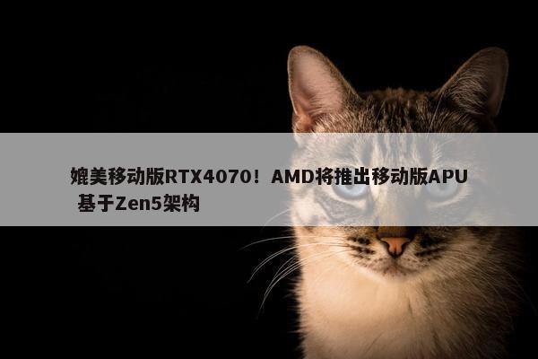 媲美移动版RTX4070！AMD将推出移动版APU 基于Zen5架构