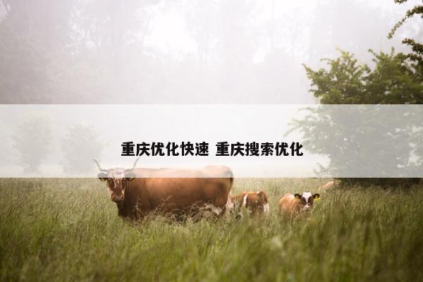 重庆优化快速 重庆搜索优化