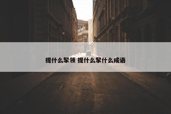 提什么挈领 提什么挈什么成语