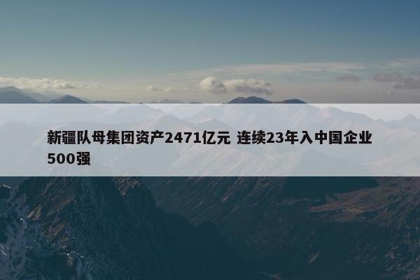 新疆队母集团资产2471亿元 连续23年入中国企业500强