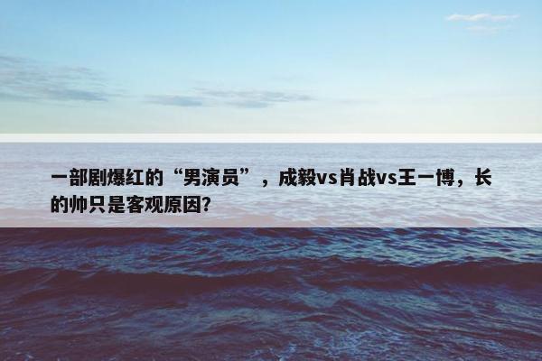 一部剧爆红的“男演员”，成毅vs肖战vs王一博，长的帅只是客观原因？