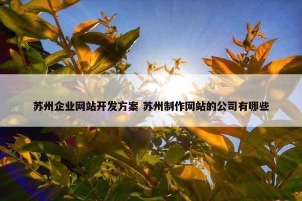 苏州企业网站开发方案 苏州制作网站的公司有哪些