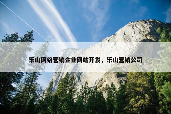 乐山网络营销企业网站开发，乐山营销公司