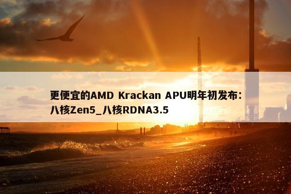 更便宜的AMD Krackan APU明年初发布：八核Zen5_八核RDNA3.5