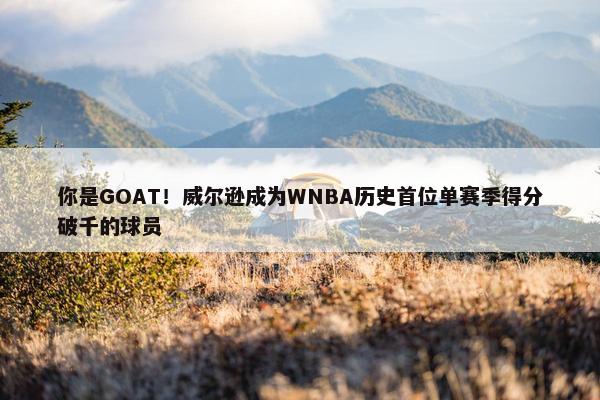 你是GOAT！威尔逊成为WNBA历史首位单赛季得分破千的球员