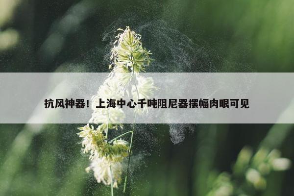 抗风神器！上海中心千吨阻尼器摆幅肉眼可见