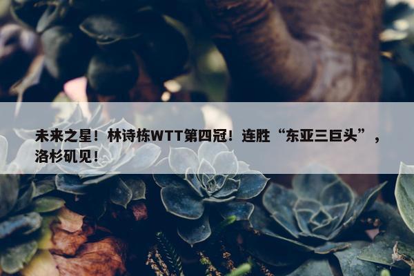 未来之星！林诗栋WTT第四冠！连胜“东亚三巨头”，洛杉矶见！