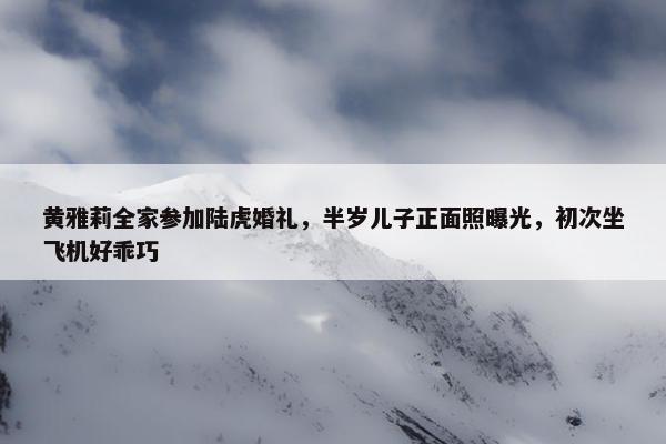 黄雅莉全家参加陆虎婚礼，半岁儿子正面照曝光，初次坐飞机好乖巧