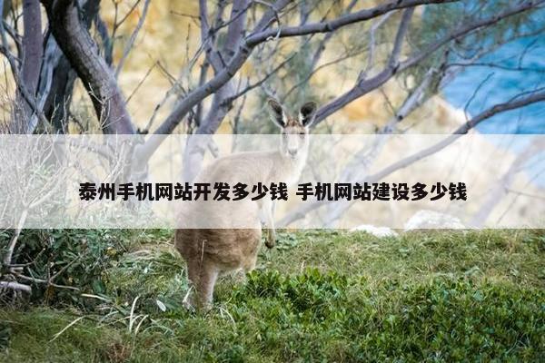 泰州手机网站开发多少钱 手机网站建设多少钱