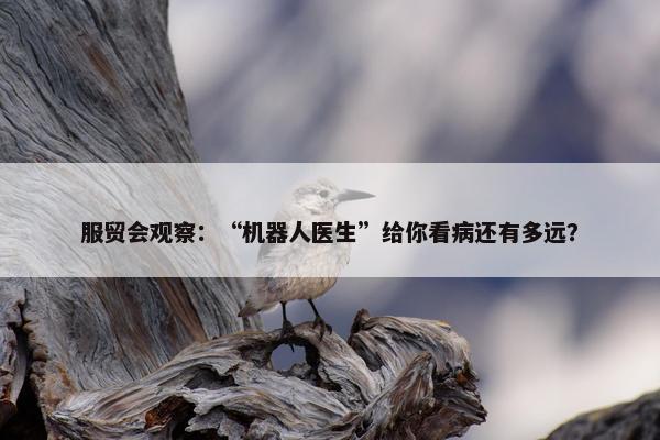 服贸会观察：“机器人医生”给你看病还有多远？