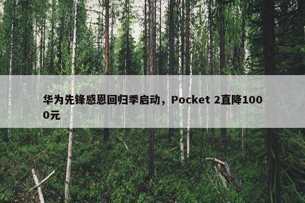 华为先锋感恩回归季启动，Pocket 2直降1000元