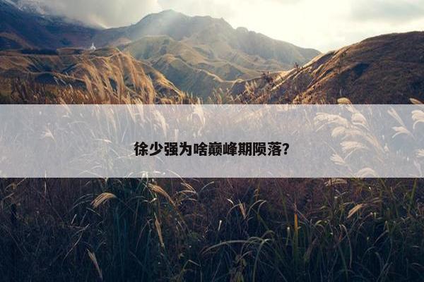 徐少强为啥巅峰期陨落？