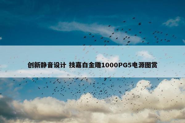 创新静音设计 技嘉白金雕1000PG5电源图赏