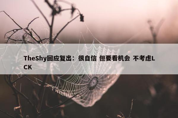 TheShy回应复出：很自信 但要看机会 不考虑LCK