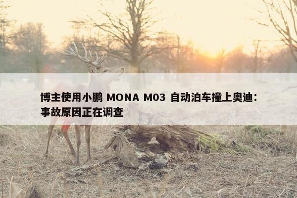 博主使用小鹏 MONA M03 自动泊车撞上奥迪：事故原因正在调查