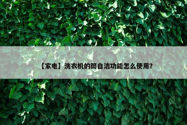 【家电】洗衣机的筒自洁功能怎么使用？