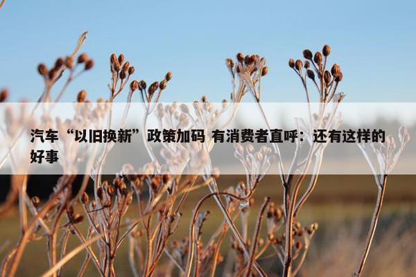 汽车“以旧换新”政策加码 有消费者直呼：还有这样的好事