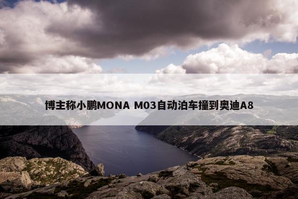 博主称小鹏MONA M03自动泊车撞到奥迪A8