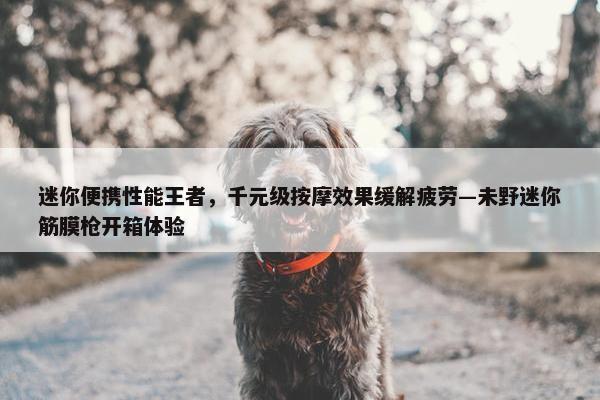 迷你便携性能王者，千元级按摩效果缓解疲劳—未野迷你筋膜枪开箱体验