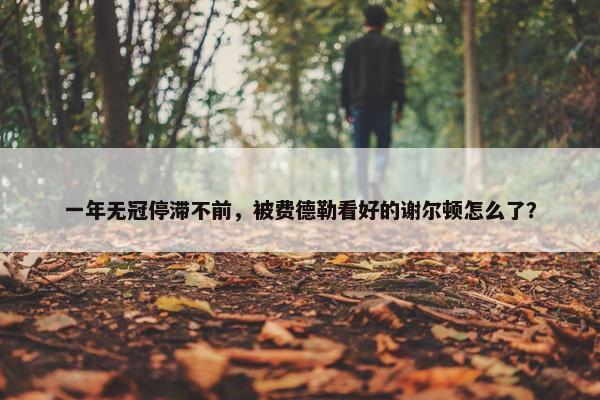 一年无冠停滞不前，被费德勒看好的谢尔顿怎么了？