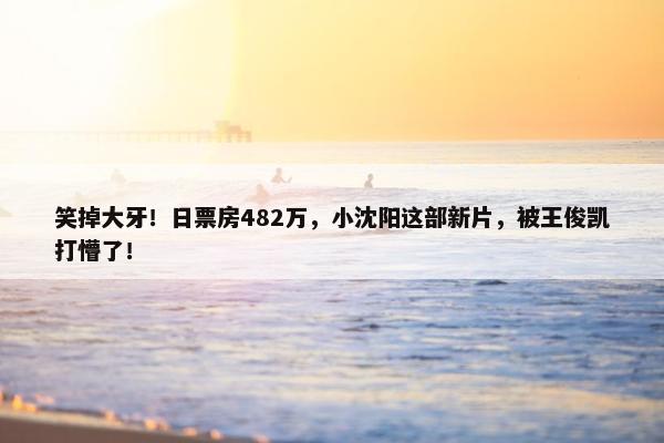 笑掉大牙！日票房482万，小沈阳这部新片，被王俊凯打懵了！